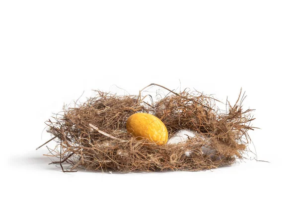 Ein Einsames Goldenes Auf Einem Nest Vor Weißem Hintergrund — Stockfoto