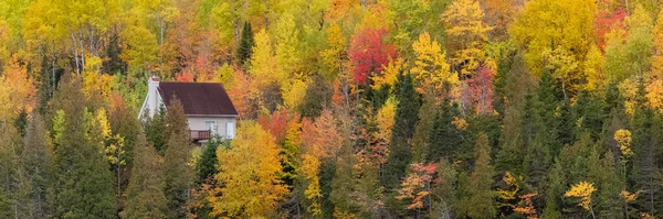 Casa Escondida Floresta Lago Canadá Outono Belas Cores Das Árvores — Fotografia de Stock