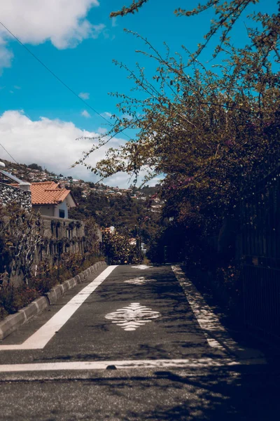 Pionowy Strzał Asfaltowej Drogi Drzewami Pod Zachmurzonym Błękitnym Niebem Funchal — Zdjęcie stockowe
