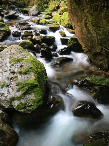 森の中の苔むした岩の上を流れる川の垂直長時間露光 — ストック写真