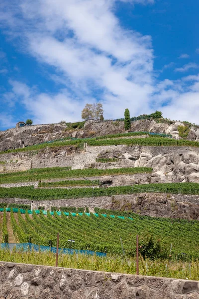 Una Vista Panorámica Las Montañas Terrazas Viñedos Lavaux Suiza — Foto de Stock