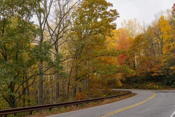Güzel Sonbahar Renkleri Kuzey Carolina Dağlarındaki Kır Yolu — Stok fotoğraf