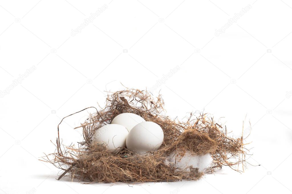 A closeup of white eggs on a nest against a white background