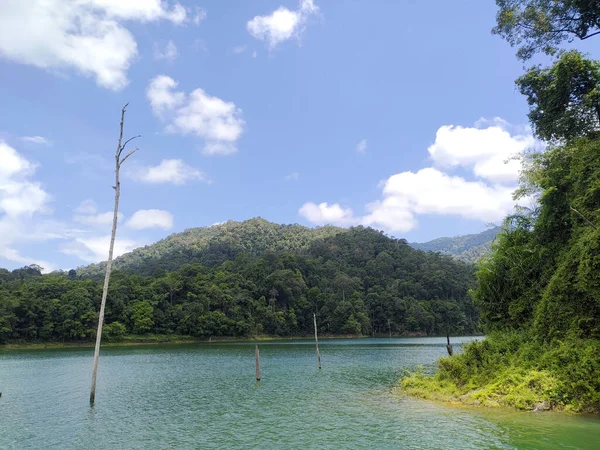 Uma Bela Vista Lago Calmo Cercado Por Árvores Verdes — Fotografia de Stock