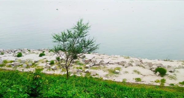 Piękne Ujęcie Linii Brzegowej Padmy Bangladeszu — Zdjęcie stockowe