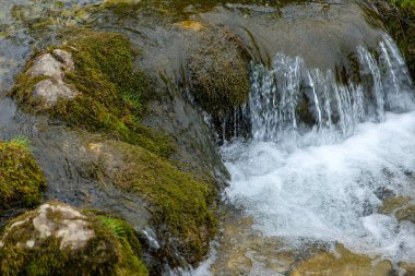 Yosun kaplı kayalık nehrin güzel bir görüntüsü.