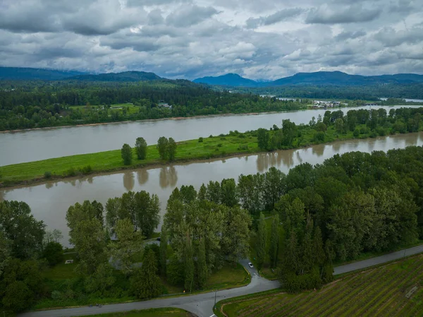 Angle Élevé Des Arbres Rivière Partie Verte Milieu — Photo