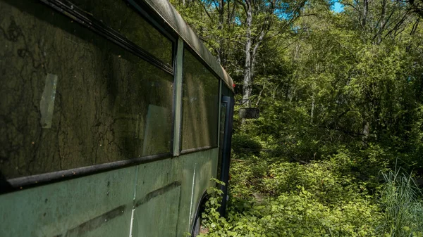 晴れた日に森の中で放棄されたバスの美しい景色 — ストック写真