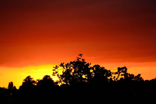 Eine Landschaftliche Aufnahme Eines Roten Sonnenuntergangs Und Baumsilhouetten — Stockfoto