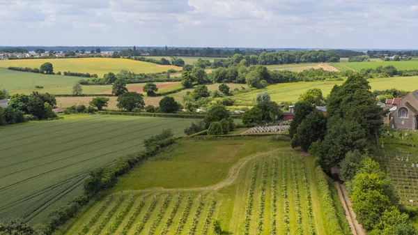 Flygbild Ett Vidsträckt Jordbruksfält Landsbygden Molnig Himmel — Stockfoto