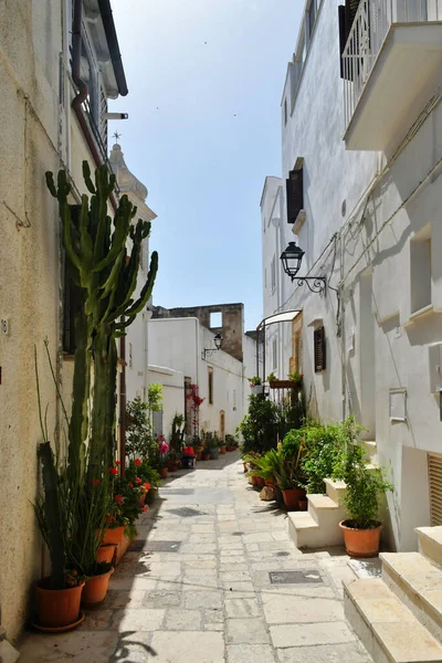 Eine Enge Straße Von Polignano Mare Einem Mittelalterlichen Dorf Apulien — Stockfoto