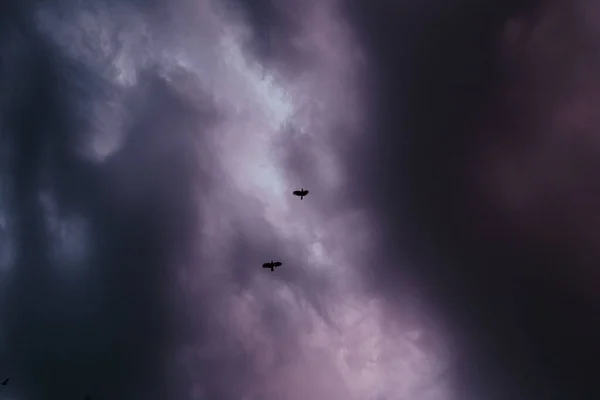 Dramatische Aufnahme Eines Dunkelblauen Wolkenverhangenen Himmels Und Fliegender Vögel — Stockfoto