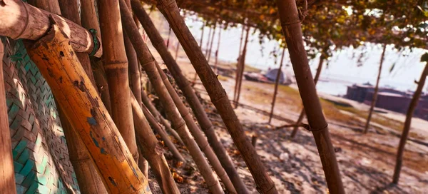 Trockene Bambusstäbe Strand Aneinander Gelehnt — Stockfoto