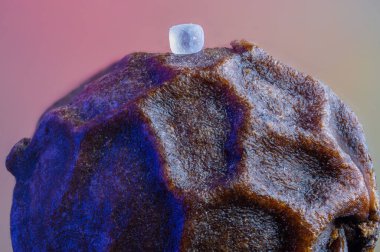 Karabiberli panoramik makro shot. Renkli arkaplanda karabiber izole.