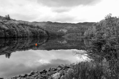 Çevresindeki ormanın yansıması olan bir gölün gri pulu.