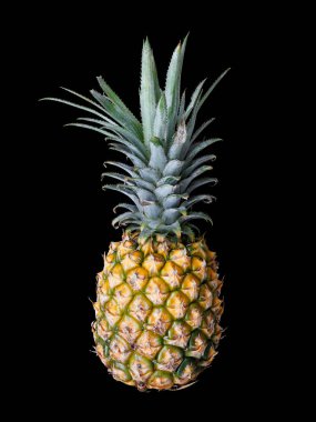 Siyah arkaplanda izole edilmiş bir Ananas (Ananas comosus) yakın plan çekimi