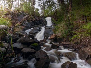 Ormandaki kayaların üzerinde akan bir derenin uzun pozlu görüntüsü.