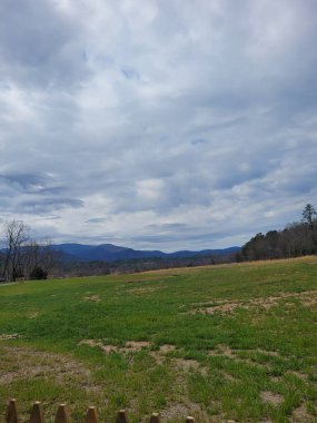 Güzel bulutlu bir gökyüzünün altındaki bir alanın dikey görüntüsü
