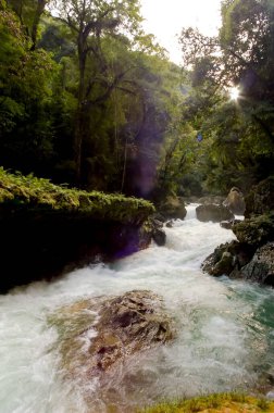 Semuc Champey 'deki manzara, Lanquin, Guatemala, Orta Amerika