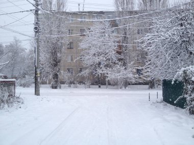 Her yer karla kaplı.