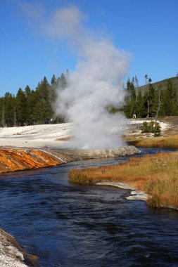 Geyser 'ın Yellowstone Ulusal Parkı, Wyoming, ABD' deki dikey çekimi.
