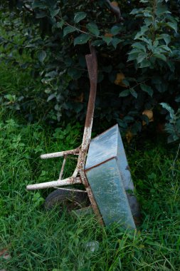 Ormanda terk edilmiş eski bir el arabasının dikey çekimi.