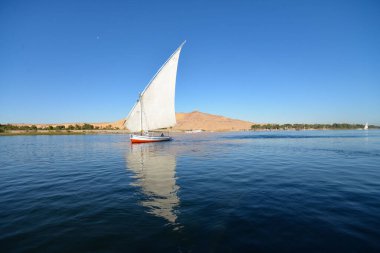 Aswan 'a git ve doğanın tadını çıkar.