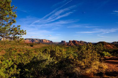 Arizona çölünde bulutlu gökyüzünün altında büyük kanyonlu güzel bir bitki ve ağaç görüntüsü.