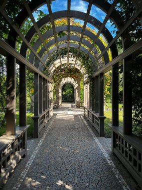Hamilton Gardens, Yeni Zelanda 'daki kemer yolunun dikey çekimi.