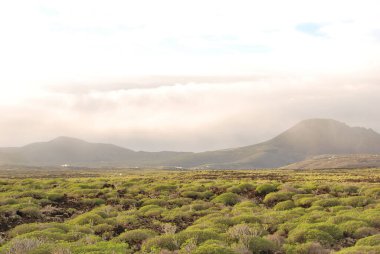 Lanzarote 'deki dağların ve tarlaların manzaralı bir görüntüsü.