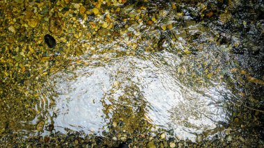 Kaliforniya, ABD 'deki Fern Kanyonu' ndaki nehrin sığ sularındaki yansımanın üst görüntüsü.