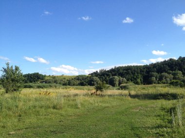 Doğanın manzara yaz fotoğrafı.