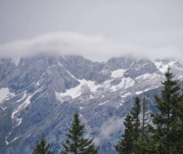 Beautiful View Alps Surrounded Mist Velika Planina Slovenia — Stock Photo, Image