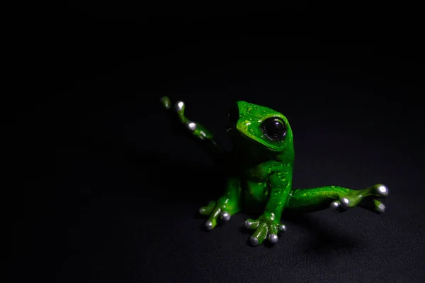 Figura Rana Verde Backgro Oscuro — Foto de Stock