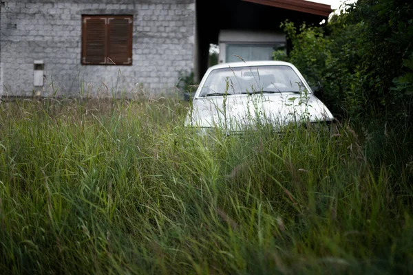 Silver Car Hidden Green Grass Backyard House — Stock Photo, Image