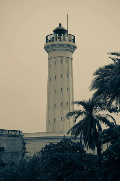 Plan Vertical Vieux Phare Plage Rock Beach Avec Des Arbres — Photo