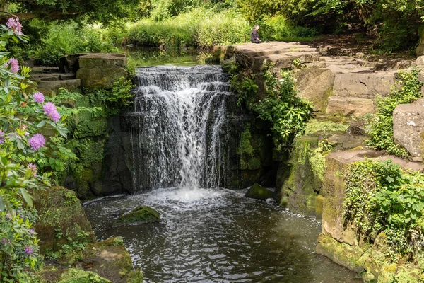 Man His Dog Rest Waterfall Jesmond Dene Newcastle Tyne — Stock Photo, Image