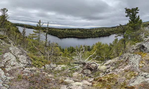 Panoramiczny Widok Jezioro Otoczone Drzewami Roślinami Skalistą Ziemią Pod Zachmurzonym — Zdjęcie stockowe