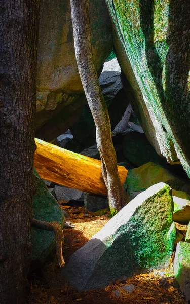 米国カリフォルニア州のヨセミテ国立公園での幹や岩の形成の垂直ショット — ストック写真