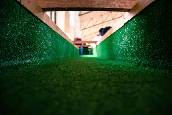 Selective Focus Shot Surface Covered Grass — Stock Photo, Image