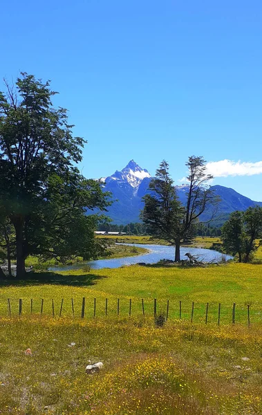 Tiro Vertical Uma Paisagem Com Rio Árvores Montanha Patagônia Chile — Fotografia de Stock