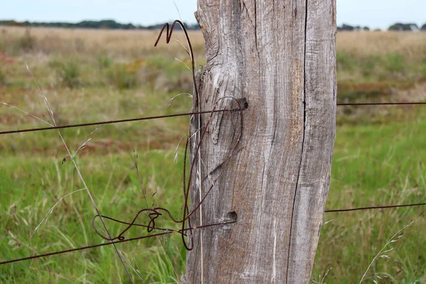 Oude Houten Hekpaal Met Roestige Verstrengelde Draad — Stockfoto