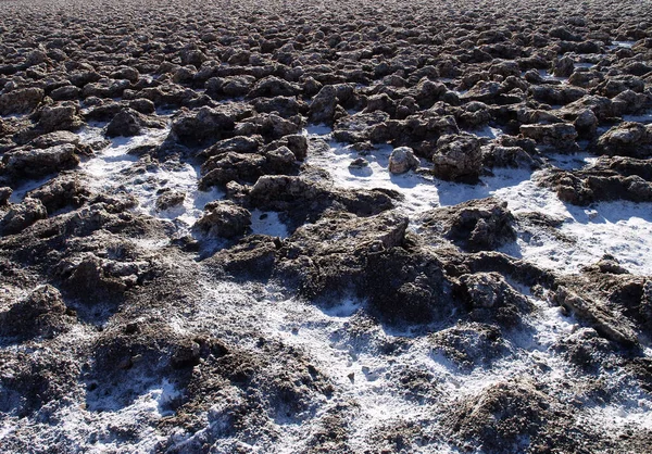 Closeup Shot White Salt Formations Rocky Beach — Stock Photo, Image