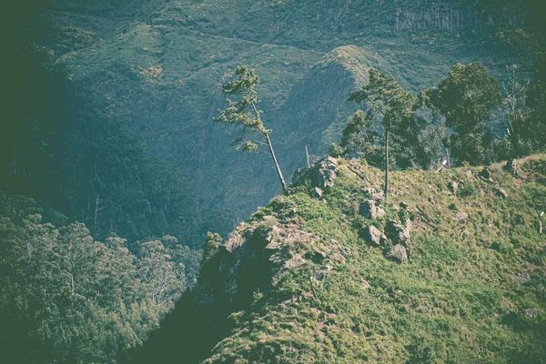Ένα Όμορφο Τοπίο Καταπράσινων Λόφων Δέντρα — Φωτογραφία Αρχείου