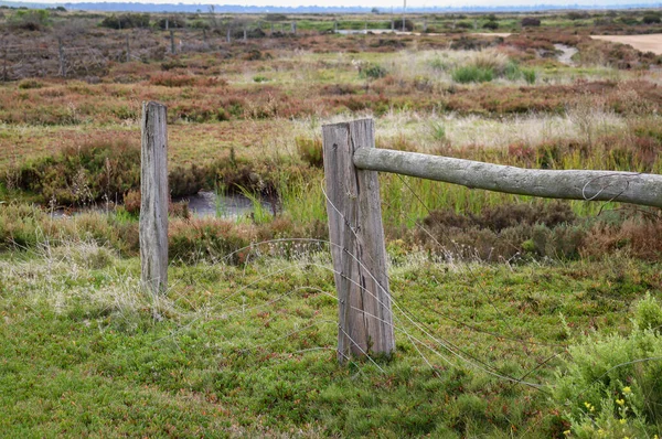 Valla Madera Erosionada Los Humedales Paisaje Costa —  Fotos de Stock