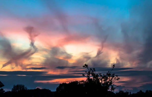 Les Silhouettes Des Branches Des Arbres Contre Ciel Nuageux Coucher — Photo