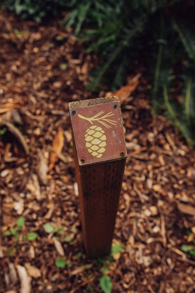 Wooden Signpost Depicting Pinecone Outdoors Seattle Arboretum Washington State — Stock Photo, Image