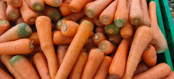 Bunch Fresh Carrot Orange Bright — Stock Photo, Image