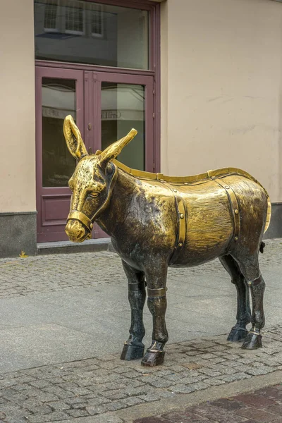 波兰托伦大街上的驴子雕像 — 图库照片