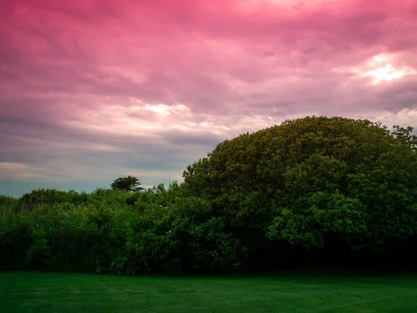 ロードアイランドの木々や茂みの上にピンクの空と壮大な夕日 — ストック写真
